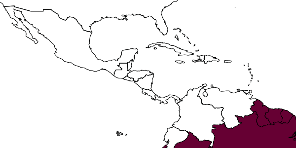 map of Polybia platycephala  platycephala   Richards, 1951